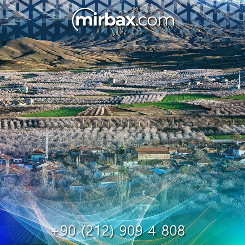 Mirbax