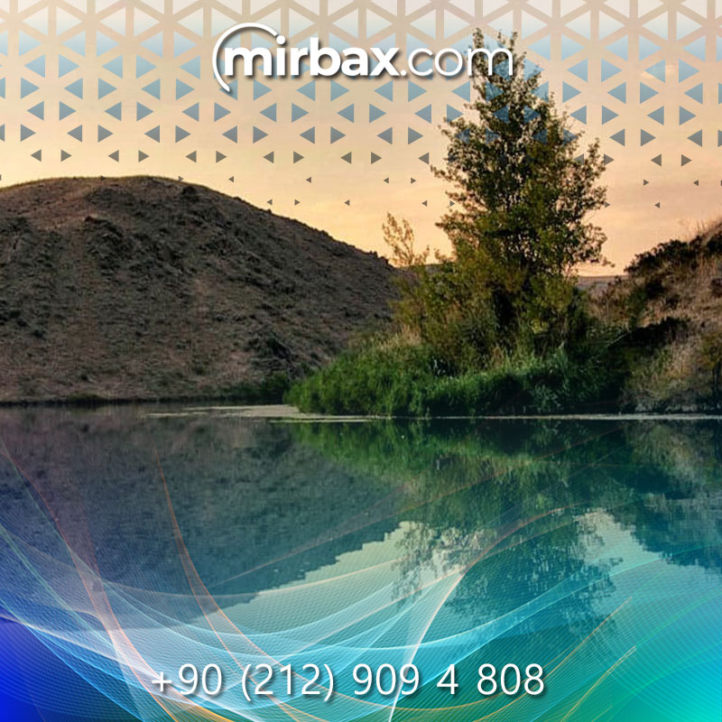 Mirbax