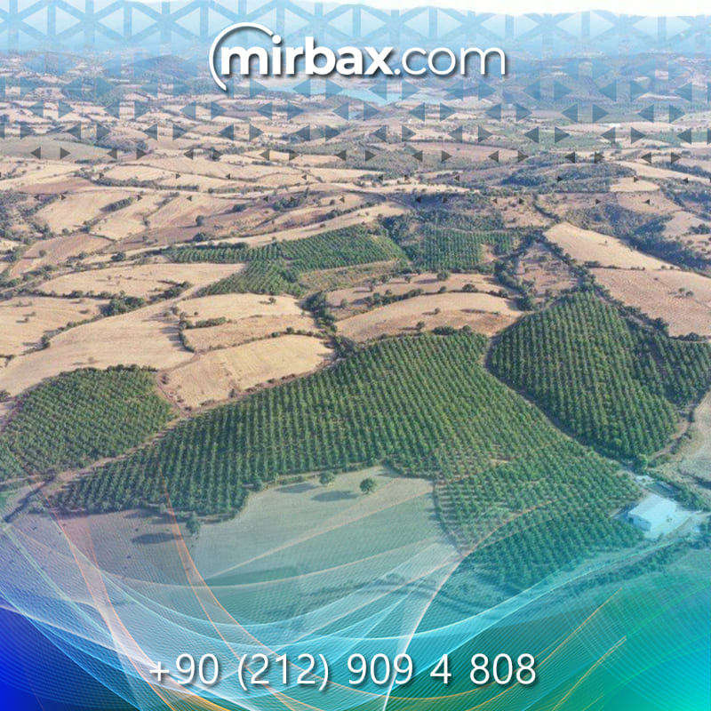 Mirbax