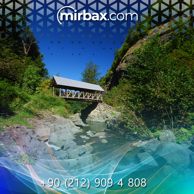 Mirbax