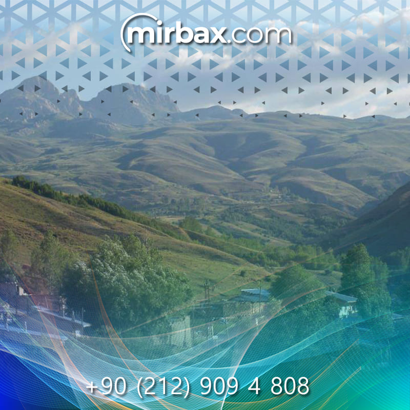 Mirbax