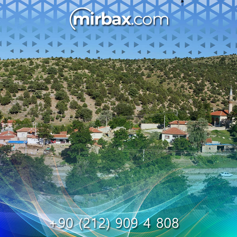 Mirbax