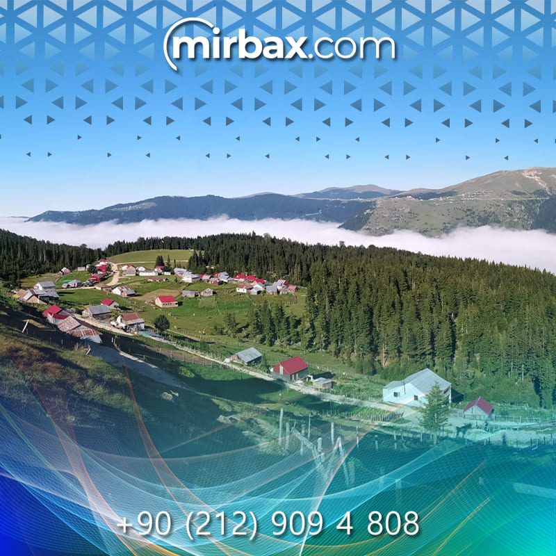 Mirbax