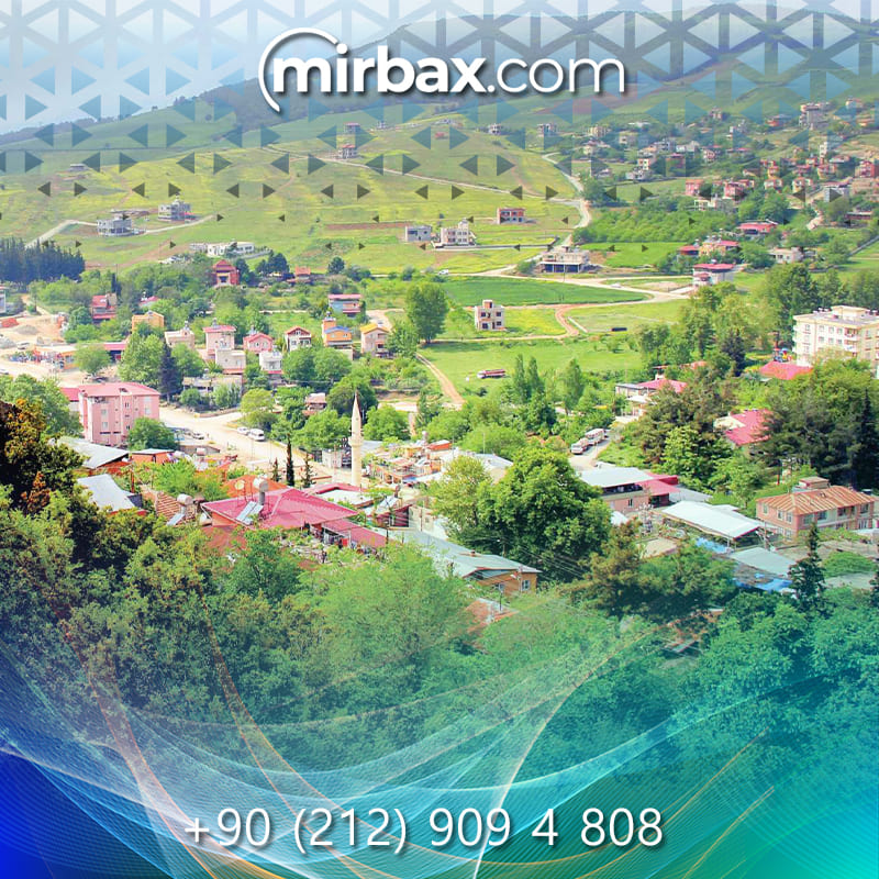 Mirbax