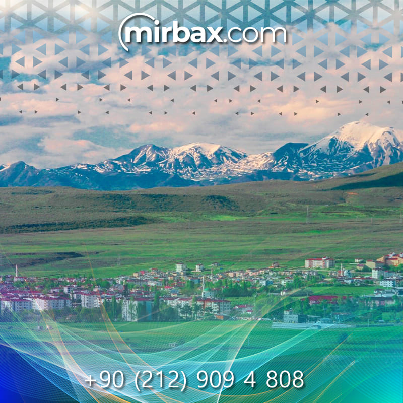 Mirbax