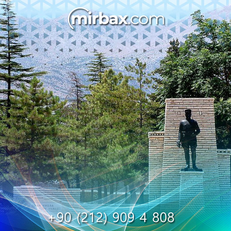 Mirbax