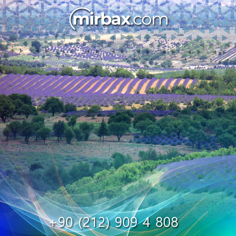 Mirbax