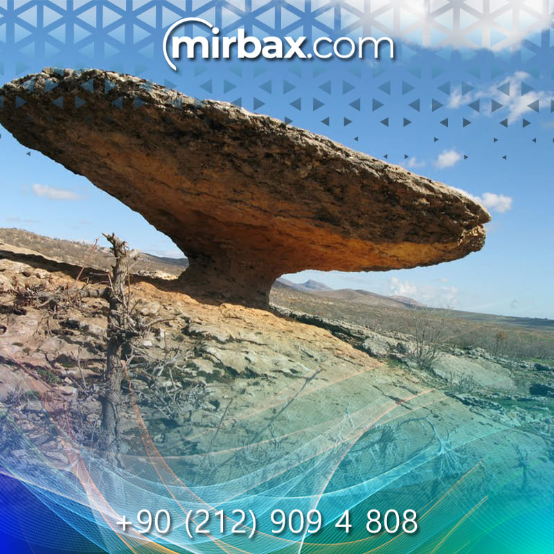 Mirbax