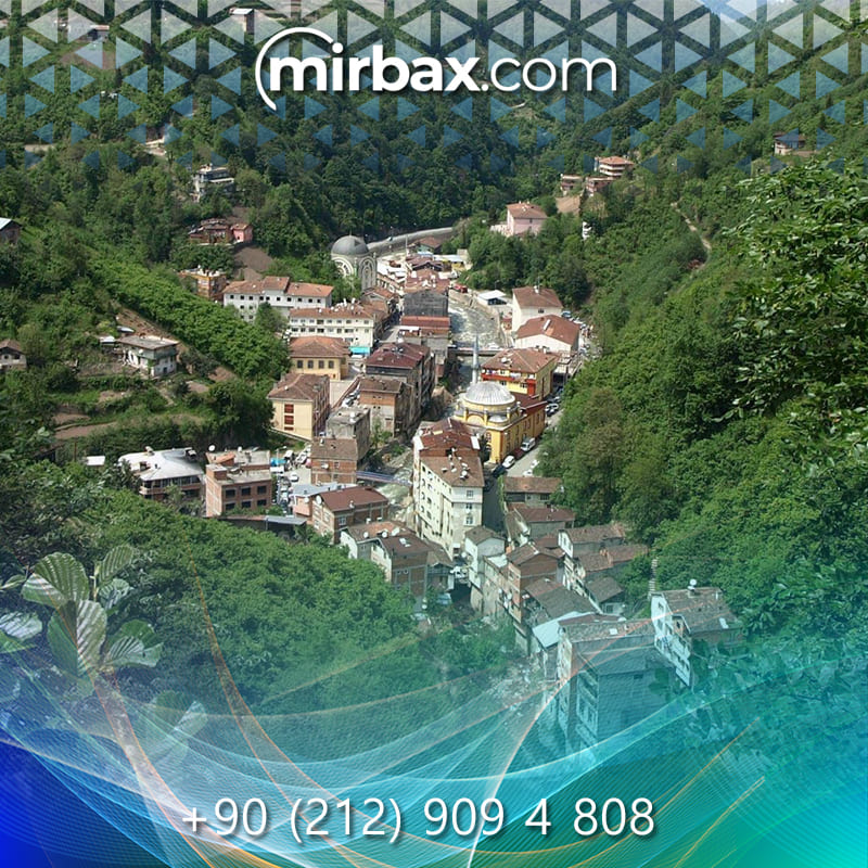 Mirbax