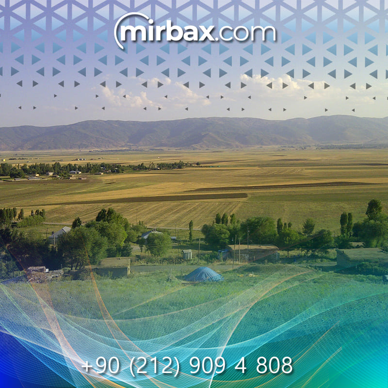 Mirbax