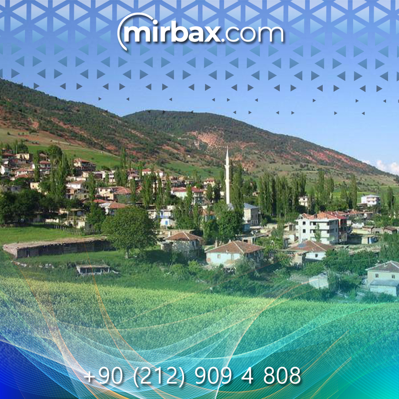 Mirbax