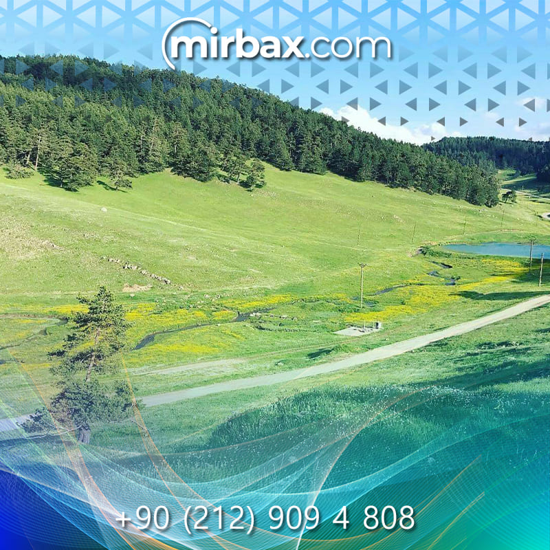 Mirbax