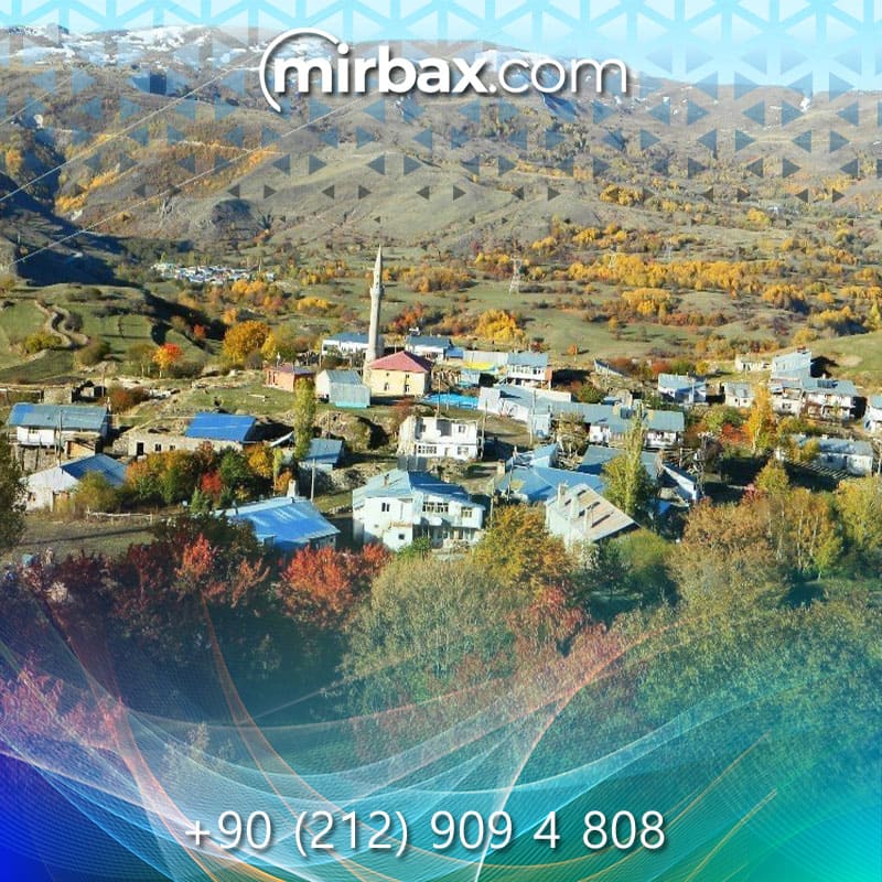 Mirbax