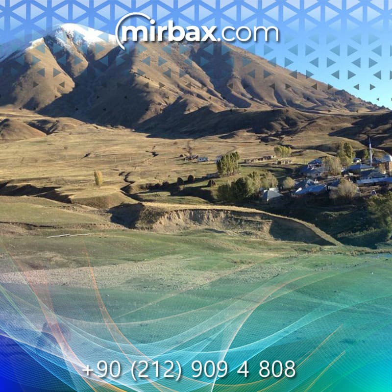 Mirbax