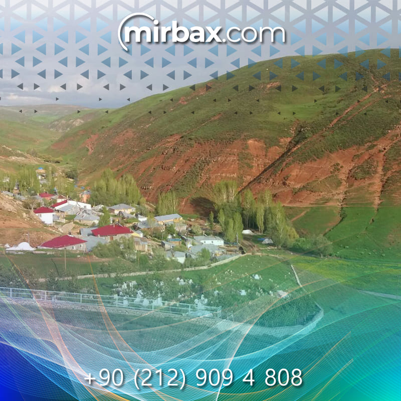 Mirbax