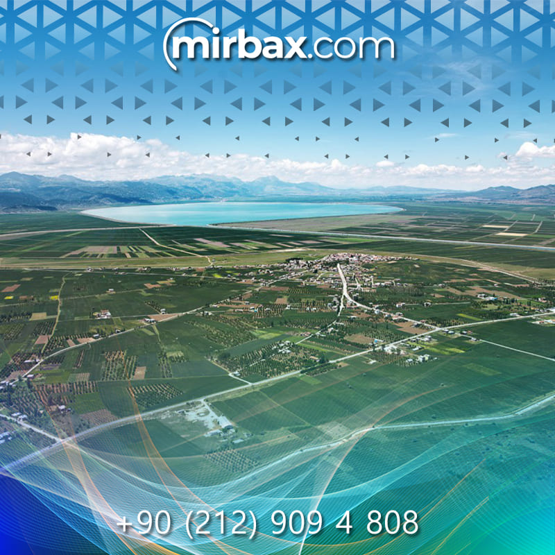 Mirbax