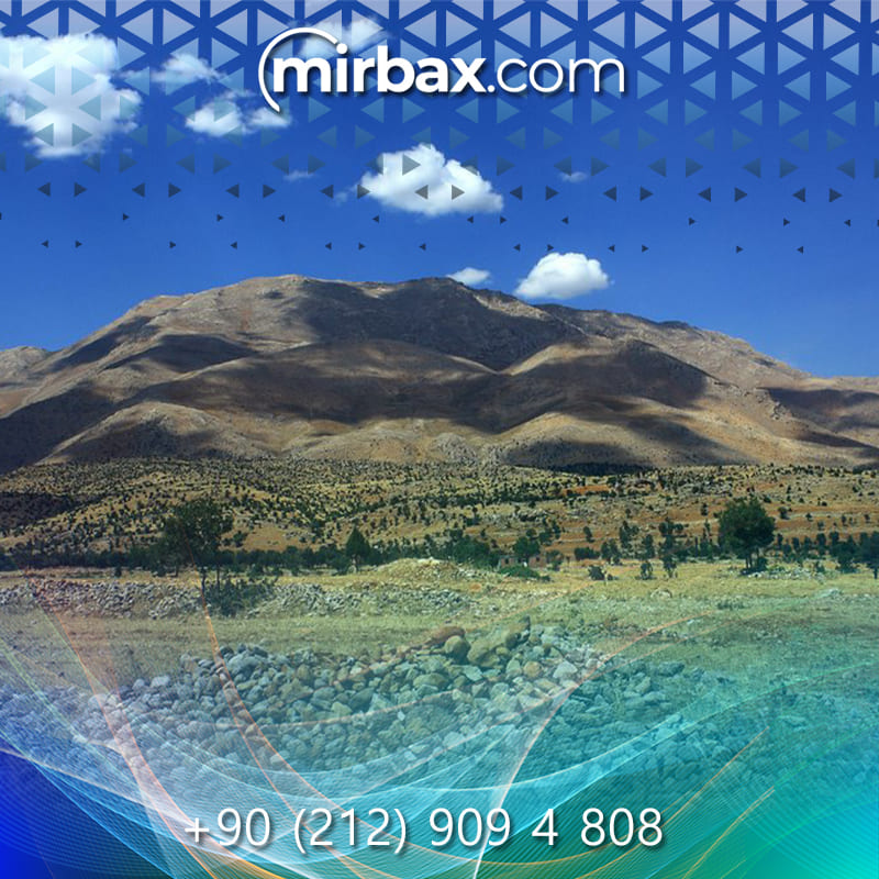 Mirbax