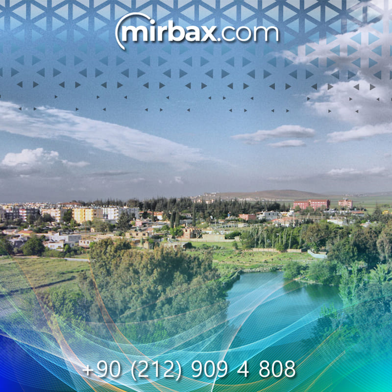 Mirbax