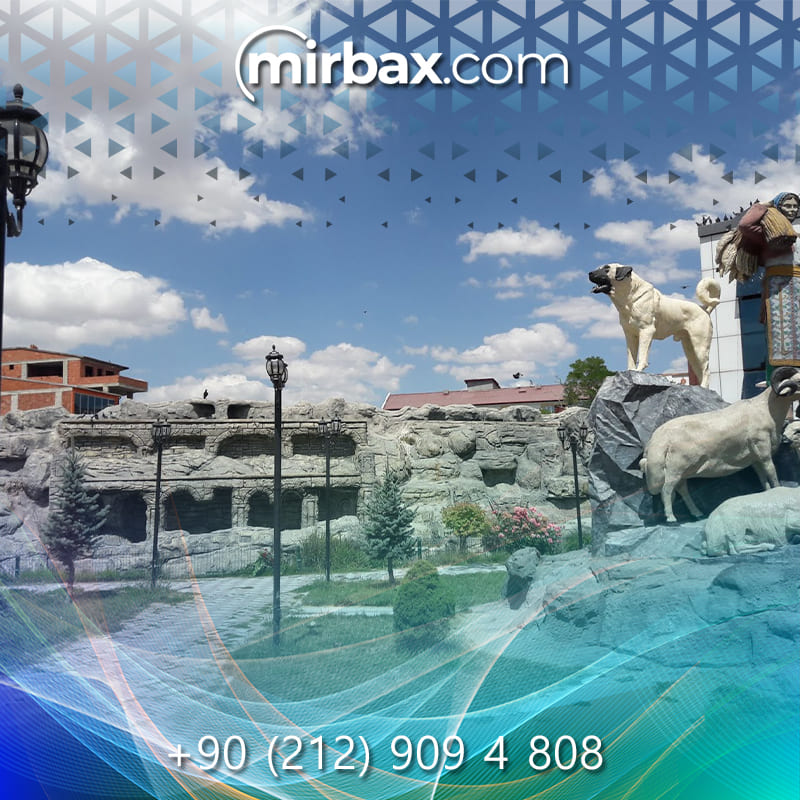 Mirbax