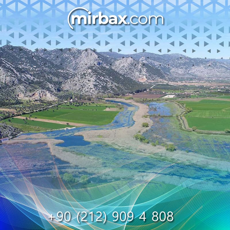 Mirbax