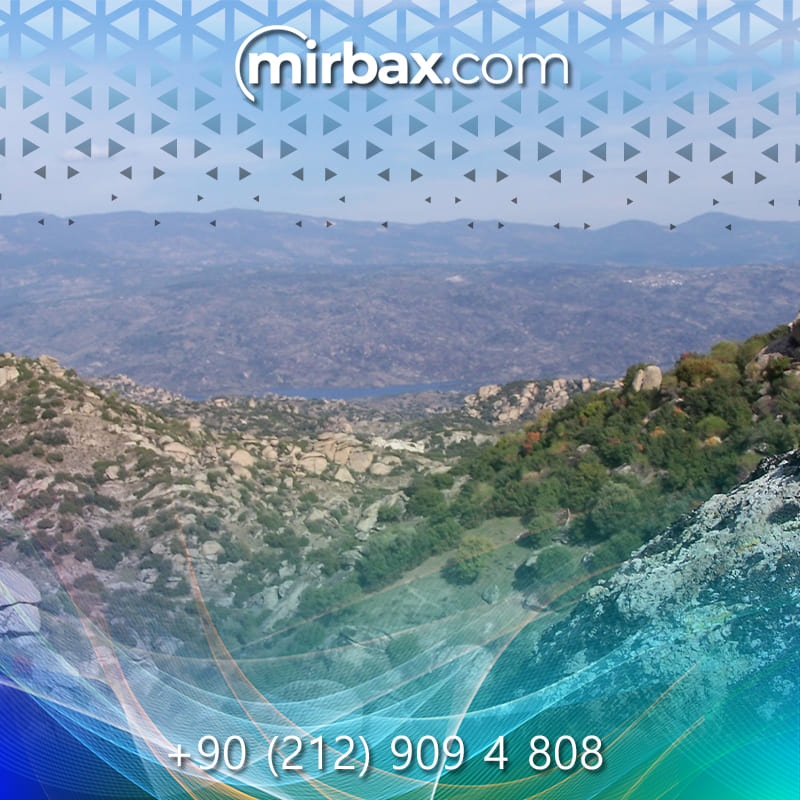 Mirbax